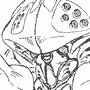 Big Fangasu