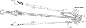 Railgun Ship