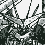 Cruise Chaser Blassty