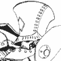 Siren E