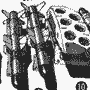 Gundam Gaia Gear Alpha