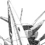 Gundam Gaia Gear Alpha