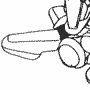 Madox-01