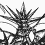 Super Robot Wars