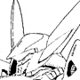 Super Robot Wars